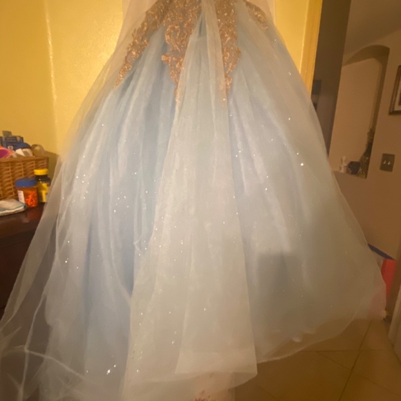 Quinceanera gown - Picture 4 of 6